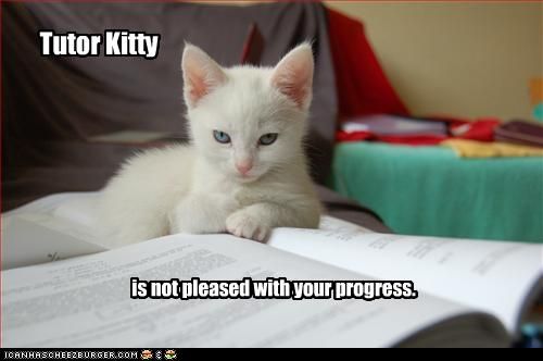 I am much nicer than this kitty.