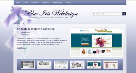 Blue Iris Webdesign