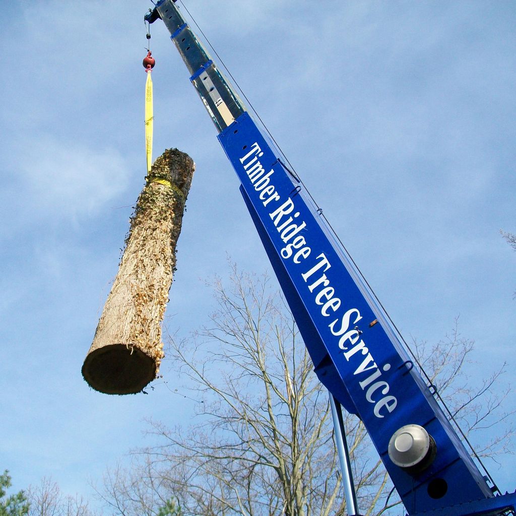 Timber Ridge Tree Service LLC