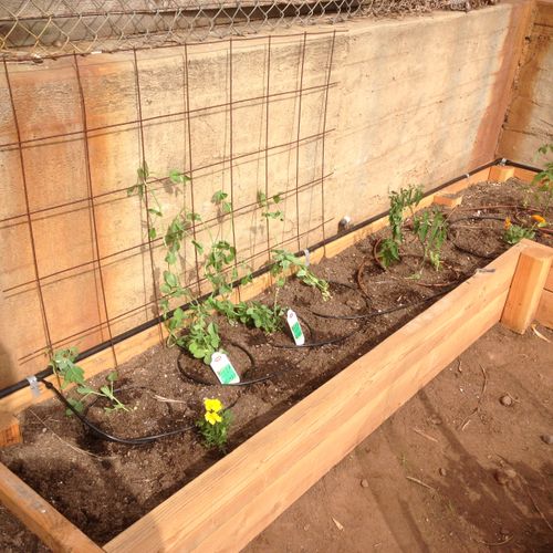 Raised garden beds are perfect for gardening in sm