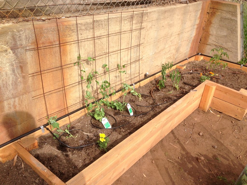 Raised garden beds are perfect for gardening in sm