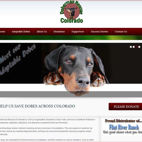 Doberman Rescue of Colorado â Adoption Site - We