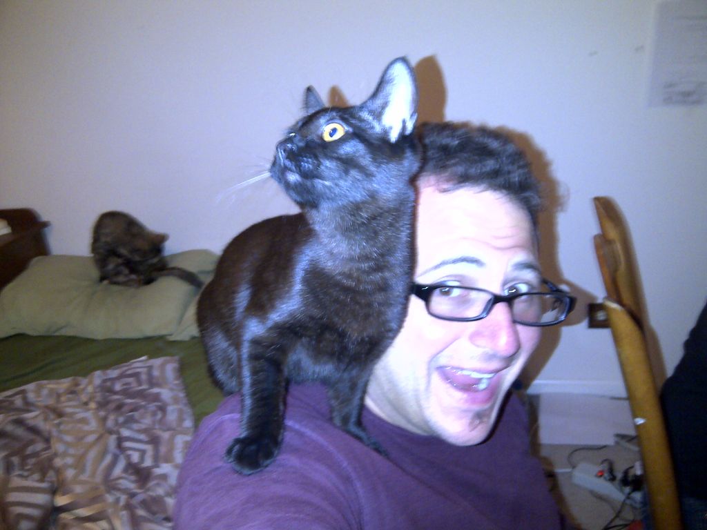 Having fun at home with some of our cats!