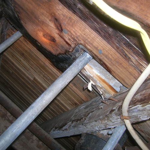 Wood rot under a house
Galvanized pipe that looks 