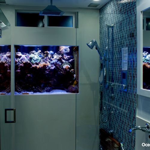 125 gallon In-Shower-Wall Living Reef Aquarium