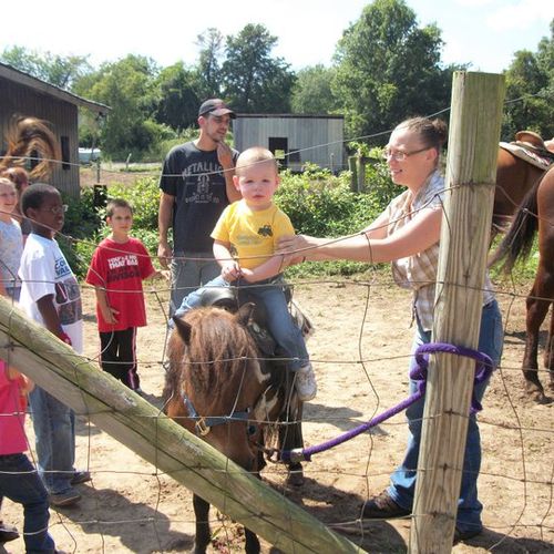In-hand Pony & Horse Rides offered at our farm by 