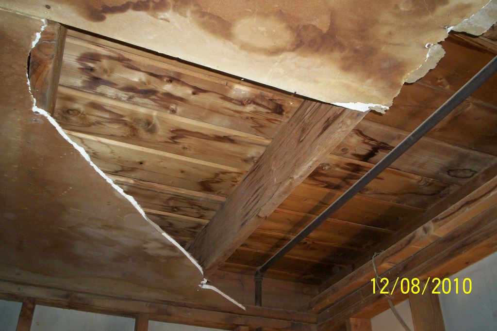 Insurance repairs