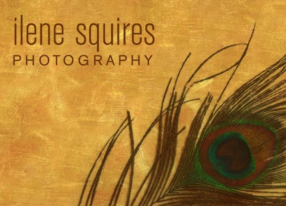 Ilene Squires Photography