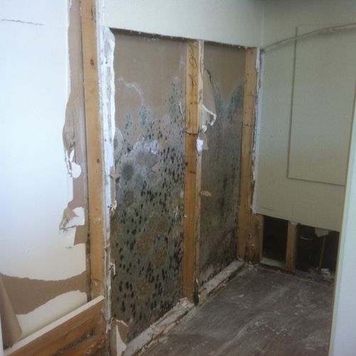 Mold inside walls in a mobile home, leak from toil