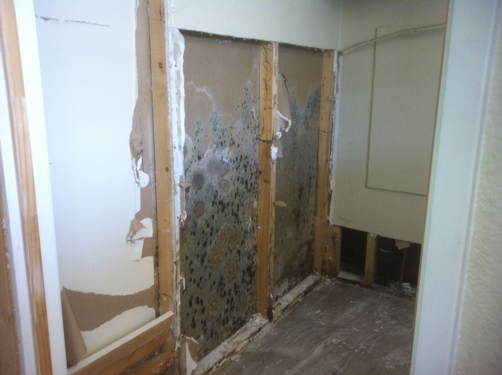 Mold inside walls in a mobile home, leak from toil