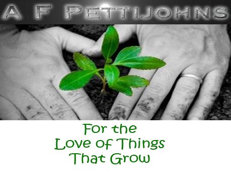 Have a true gardener take care of your landscape, 