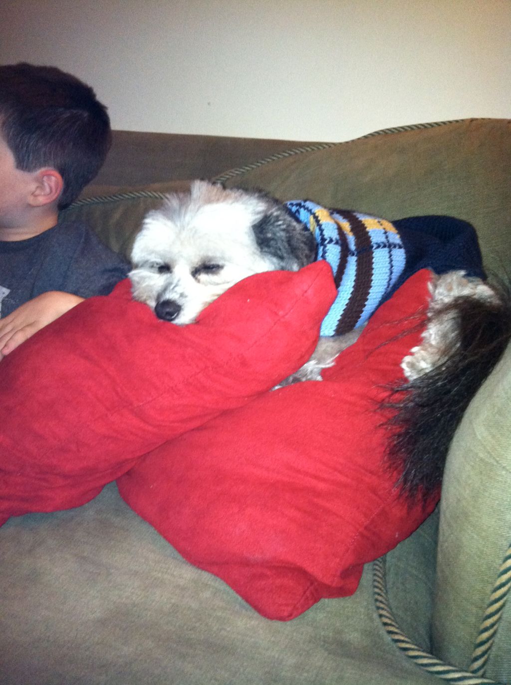 One of my clients contently snoozing while staying