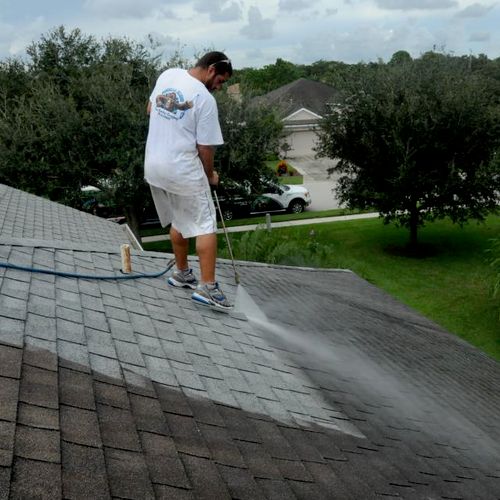 Soft washing a roof.