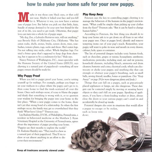 The first page of an article that I wrote for Pupp