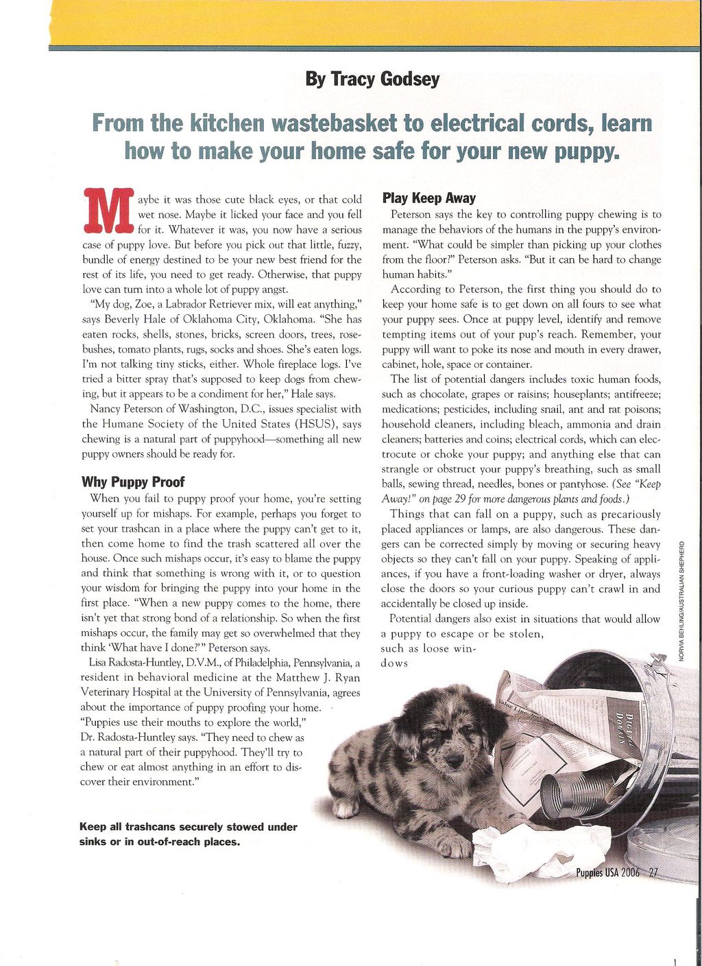 The first page of an article that I wrote for Pupp