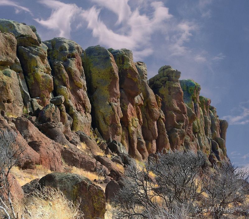 Sentinels