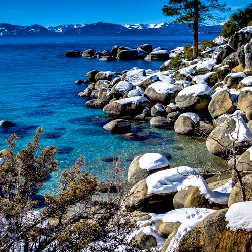 Lake Tahoe Winterscape