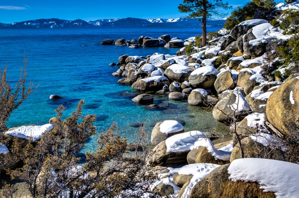 Lake Tahoe Winterscape