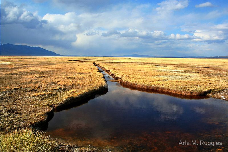High Desert Oasis