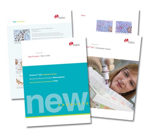 Brochure and booklet design for an international c