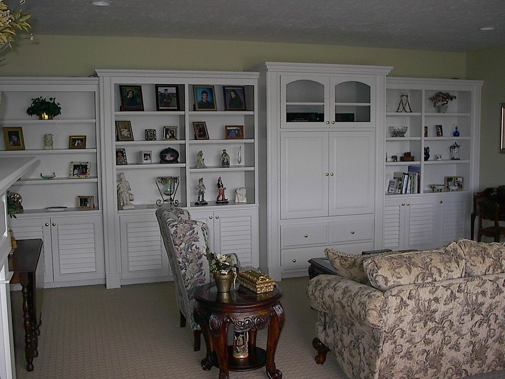 Custom entertainment center/bookcase