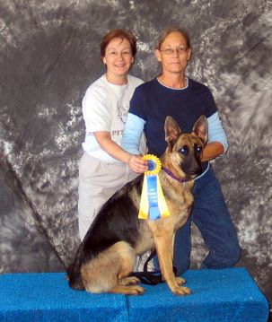 Canine Good Citizen test