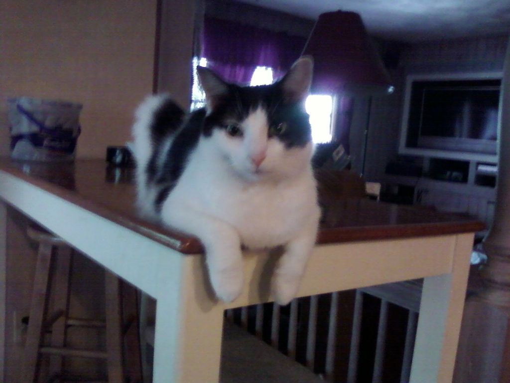 Percy, my office manager!