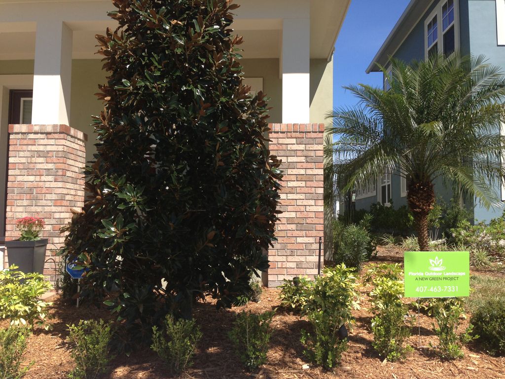 A tuxedo design, using large Magnolias with Boxwoo