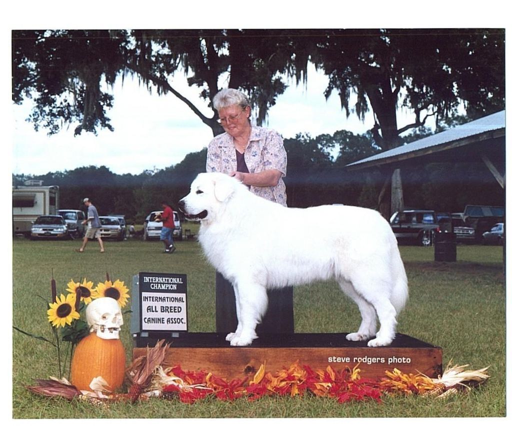 This is DJ the love of my life