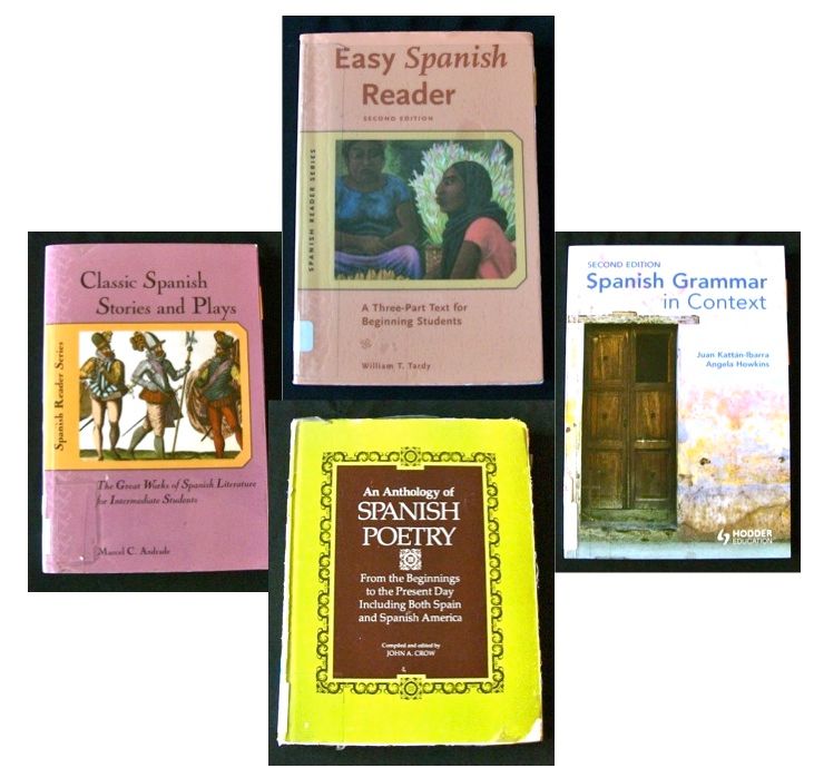 Recommended Spanish reference books for beginners 