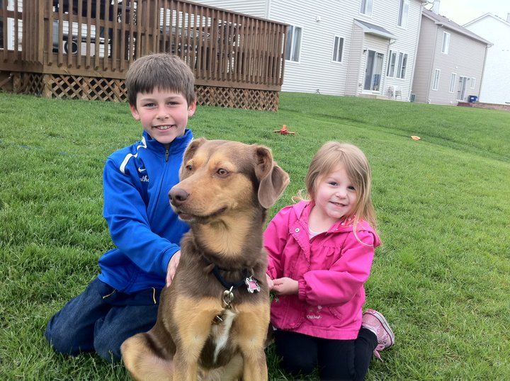 Two of Golden Companion's junior dog trainers with