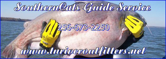 SouthernCats Guide Service