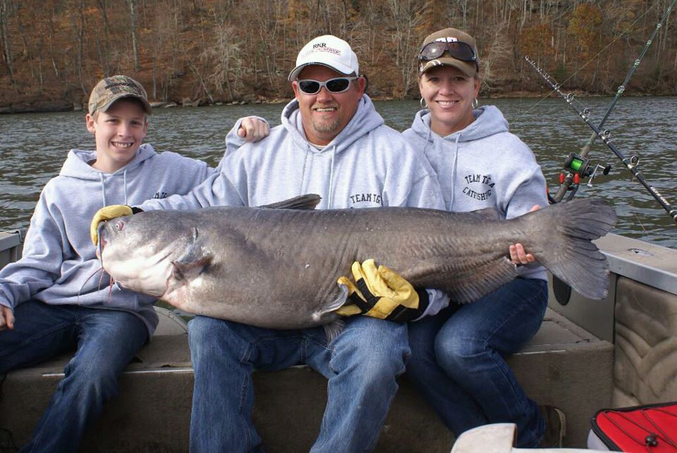 72 lb Blue