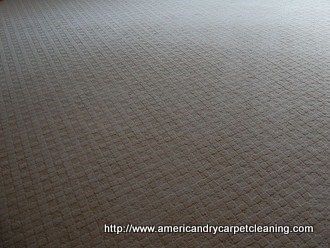 American Dry Carpet Cleaning