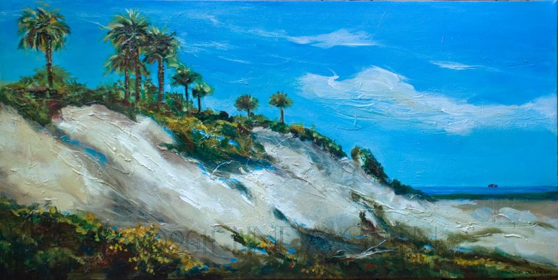 Hannah DUnes by Linda Olsen