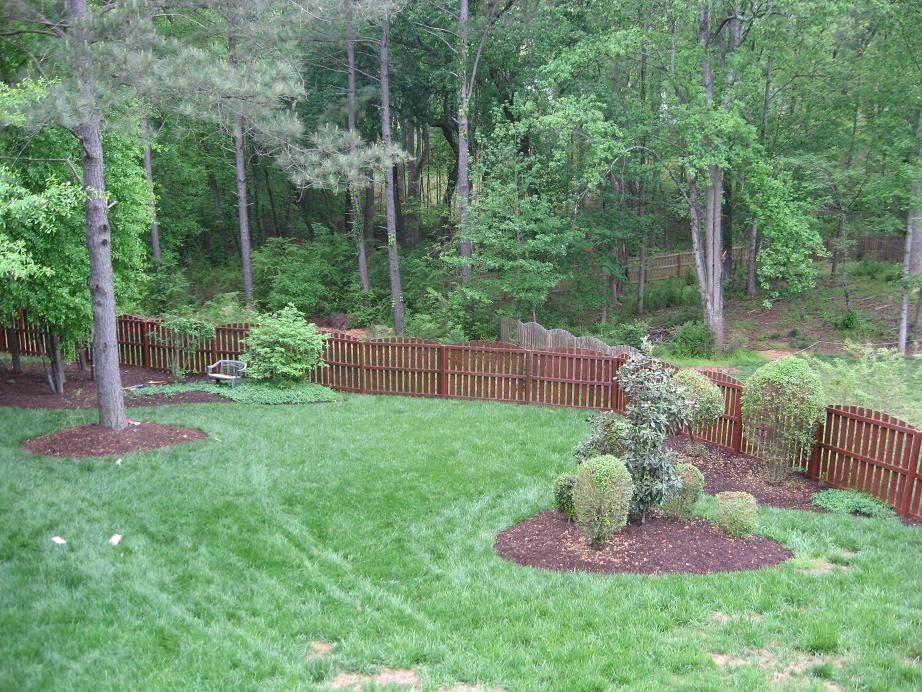 This is a yard I did from scratch. It was a jungle