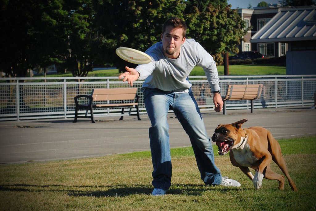 Frisbee/disc  with Rambo in Tacoma