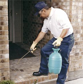 Phoenix exterminators