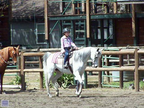 10 and under schooling show class
