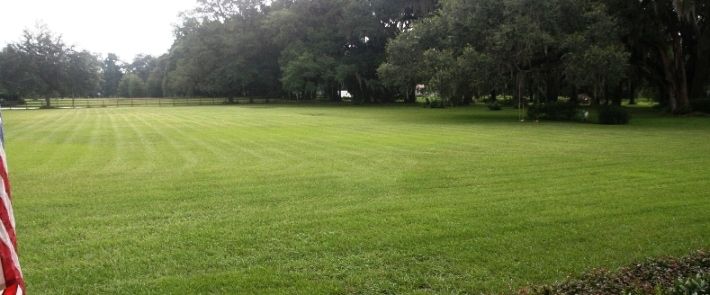 One Mow to Go - Lawn and Garden