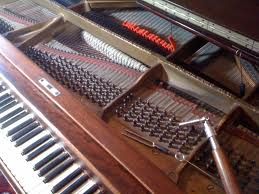 Jimmy's Piano Tuning & Repair
201-497-6549