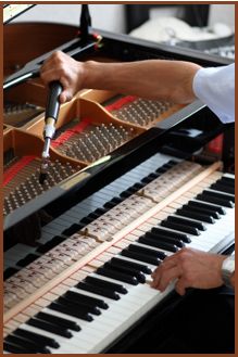 Jimmy's Piano Tuning & Repair
201-497-6549