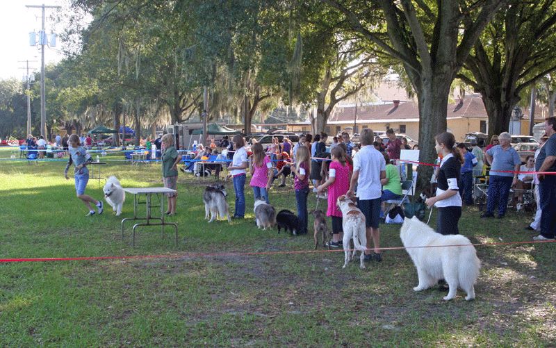 Hillsborough County Florida Dog Fanciers