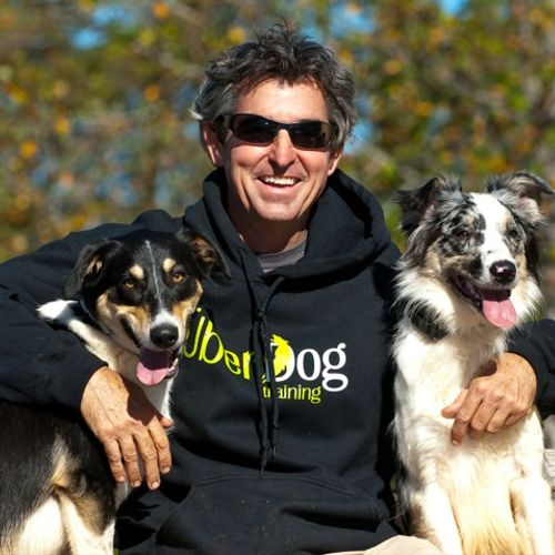 Charlotte dog trainer Greg Bellew with Allie and T