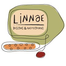Linnae (Designs & Photographs)
