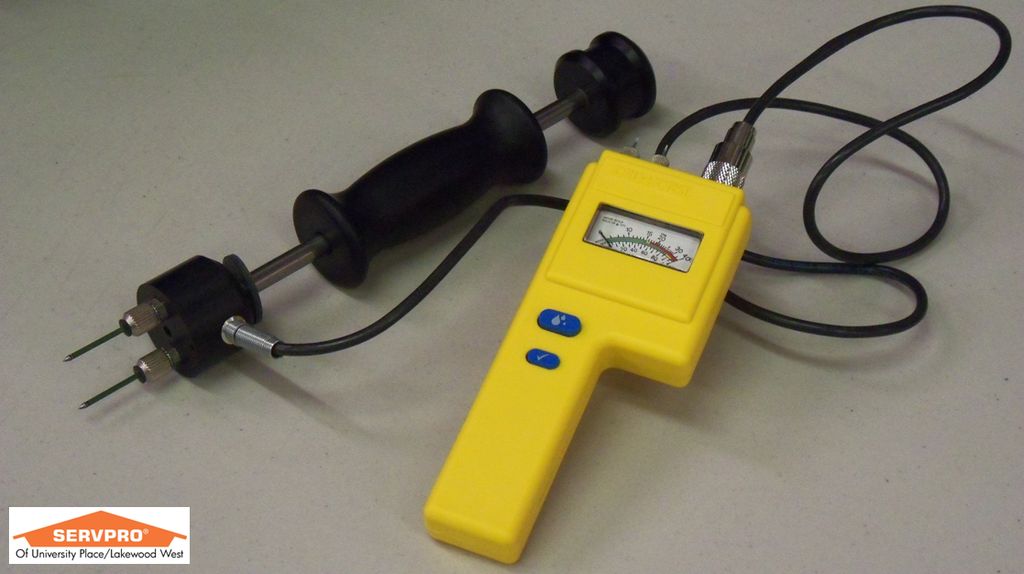 Hammer Probe - SERVPRO Of University Place/Lakewoo