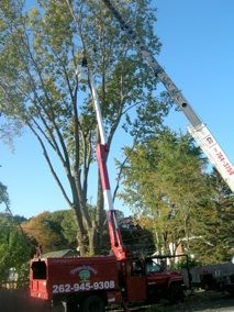 Using a crane to remove a damaged and dangerous tr