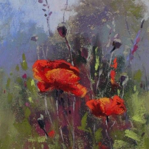'Early Morning Poppies'       5x7       pastel