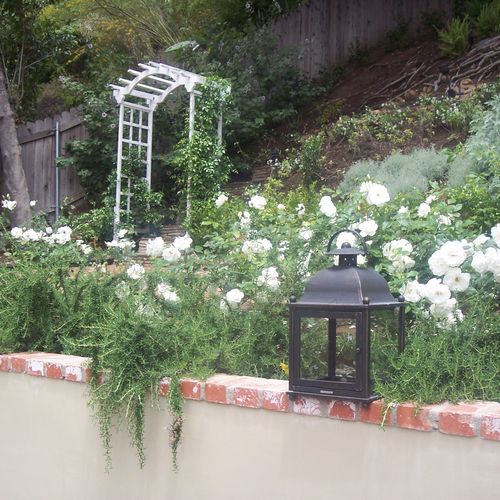Cascading rosemary and water-wise plantings mimic 