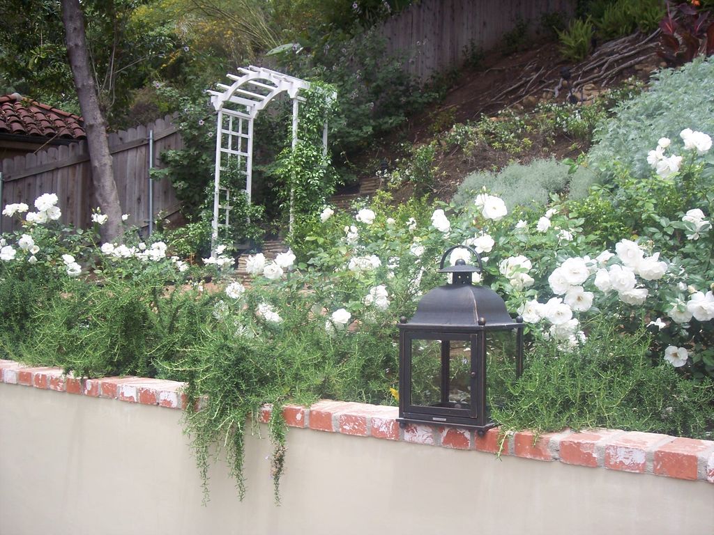Cascading rosemary and water-wise plantings mimic 